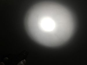 dsd