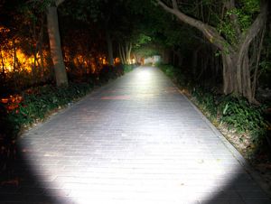 DSD (3)