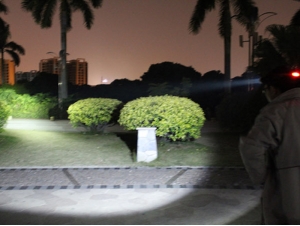 dse (1)