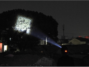 dse (3)